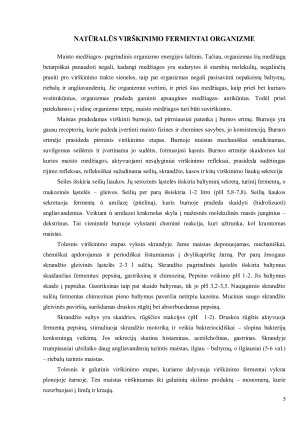 VIRŠKINIMO FERMENTAI. Paveikslėlis 5