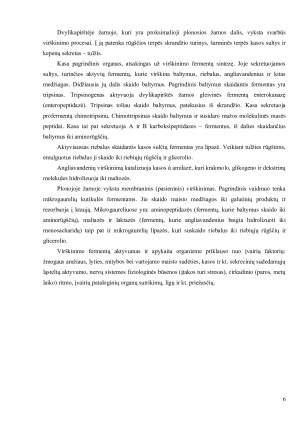 VIRŠKINIMO FERMENTAI. Paveikslėlis 6