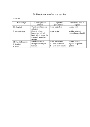 Kraujo apytakos sistema. Paveikslėlis 5