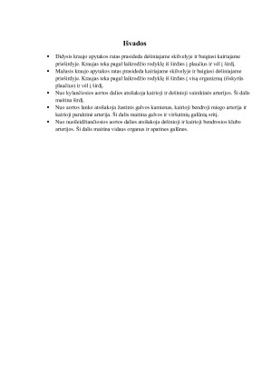 Kraujo apytakos sistema. Paveikslėlis 8