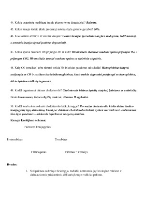 KRAUJAS. Paveikslėlis 8