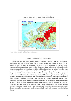 ERKINIS ENCEFALITAS (2). Paveikslėlis 5
