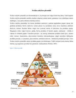 ŽMOGAUS SVEIKATOS ANALIZĖ. Paveikslėlis 6