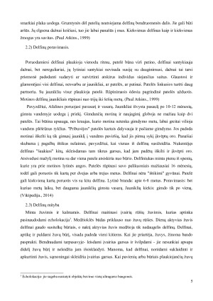 DELFINŲ PANAŠUMAS Į ŽMOGŲ. Paveikslėlis 6