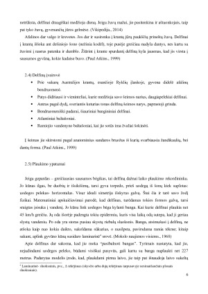 DELFINŲ PANAŠUMAS Į ŽMOGŲ. Paveikslėlis 7