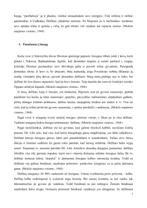 DELFINŲ PANAŠUMAS Į ŽMOGŲ. Paveikslėlis 8