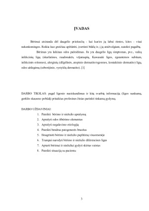 BĖRIMAS IR NIEŽULYS. Paveikslėlis 3