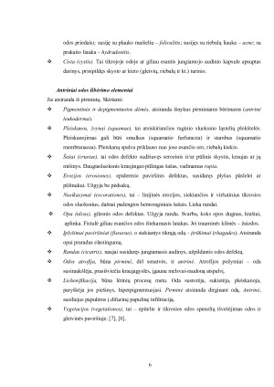 BĖRIMAS IR NIEŽULYS. Paveikslėlis 6