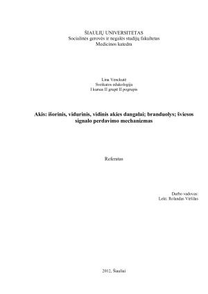 Akis - išorinis, vidurinis, vidinis akies dangalai; branduolys; šviesos signalo perdavimo mechanizmas. Paveikslėlis 1