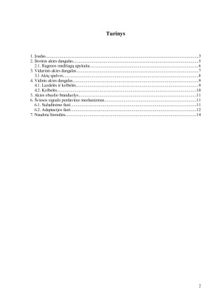 Akis - išorinis, vidurinis, vidinis akies dangalai; branduolys; šviesos signalo perdavimo mechanizmas. Paveikslėlis 2