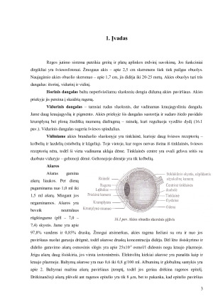 Akis - išorinis, vidurinis, vidinis akies dangalai; branduolys; šviesos signalo perdavimo mechanizmas. Paveikslėlis 3