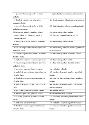 DANTŲ KONTAKTŲ, SUSIDARIUSIŲ OKLIUZIJŲ METU, ANALIZĖ. Paveikslėlis 4