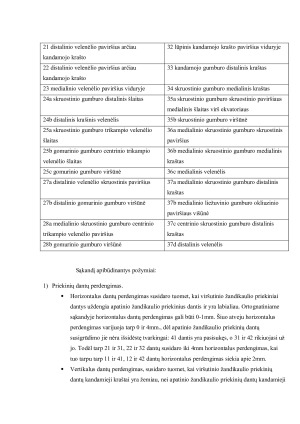 DANTŲ KONTAKTŲ, SUSIDARIUSIŲ OKLIUZIJŲ METU, ANALIZĖ. Paveikslėlis 5