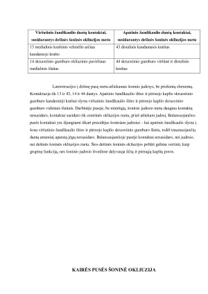 DANTŲ KONTAKTŲ, SUSIDARIUSIŲ OKLIUZIJŲ METU, ANALIZĖ. Paveikslėlis 9