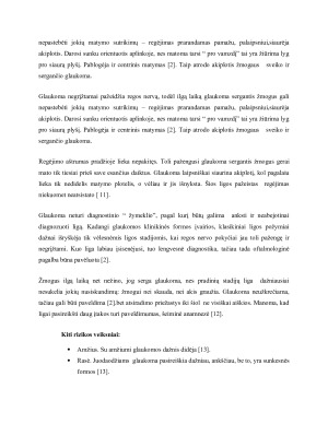 Glaukomos. Paveikslėlis 2