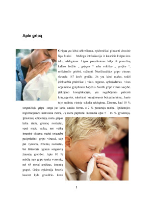 Gripas. Paveikslėlis 3