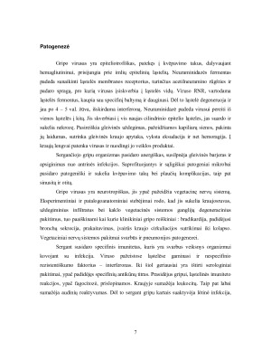 Gripas. Paveikslėlis 7