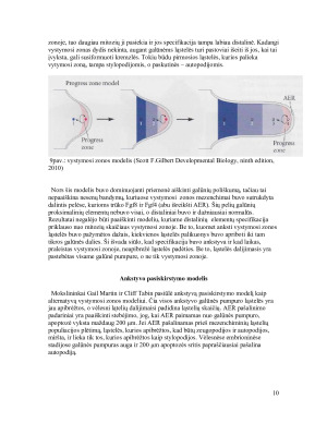 Galūnių raidos genetinė kontrolė. Paveikslėlis 10
