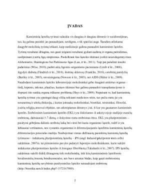 Indukuotos pluripotentinės žmogaus kamieninės ląstelės, gautos iš somatinių lątselių. Paveikslėlis 3