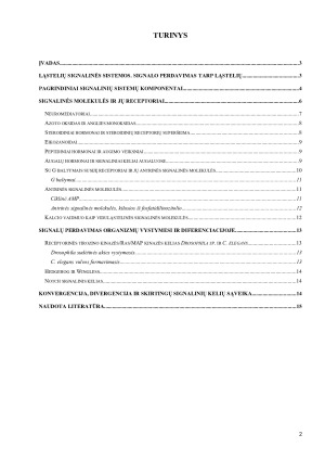 Ląstelių signalinės sistemos. Paveikslėlis 2