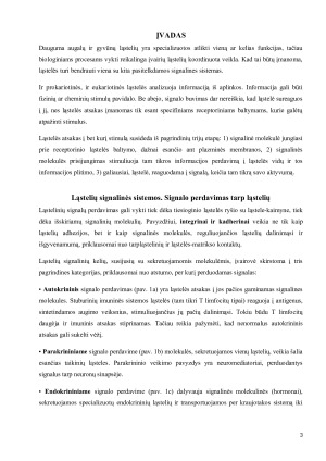 Ląstelių signalinės sistemos. Paveikslėlis 3