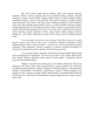 Prokariotinių ląstelių dalijimasis. Mitozė, jos fazės ir charakteristika. Augalų ir gyvūnų ląstelių citokinezė. Paveikslėlis 10