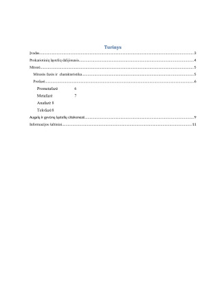 Prokariotinių ląstelių dalijimasis. Mitozė, jos fazės ir charakteristika. Augalų ir gyvūnų ląstelių citokinezė. Paveikslėlis 2