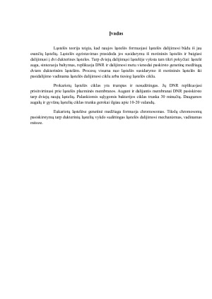 Prokariotinių ląstelių dalijimasis. Mitozė, jos fazės ir charakteristika. Augalų ir gyvūnų ląstelių citokinezė. Paveikslėlis 3