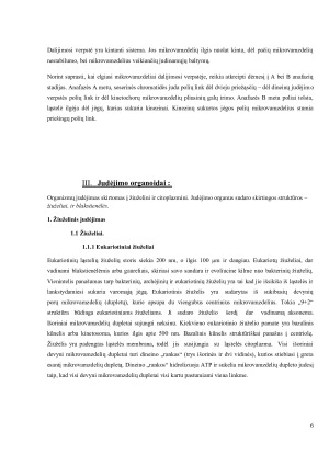 Citoskeletas. Centriolės. Judėjimo organoidai. Paveikslėlis 6