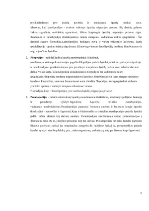 Citoskeletas. Centriolės. Judėjimo organoidai. Paveikslėlis 8