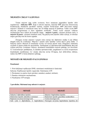 Mejozė. Jos eiga ir skirtumai nuo mitozės. Chromosomų konjugacija. Krosingoveris.. Paveikslėlis 6