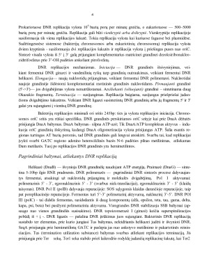 Ląstelių dalijimasis. DNR replikacija. Gyvybinis ląstelės ciklas. Ląstelės ciklo kontrolė mielėse ir daugialąsčiuose organizmuose. Paveikslėlis 4
