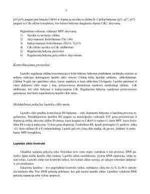 Ląstelių dalijimasis. DNR replikacija. Gyvybinis ląstelės ciklas. Ląstelės ciklo kontrolė mielėse ir daugialąsčiuose organizmuose. Paveikslėlis 7