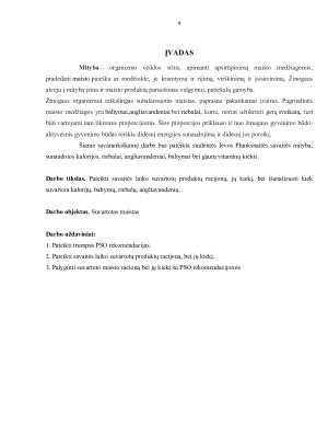 SAVAITĖS MITYBA. Paveikslėlis 4