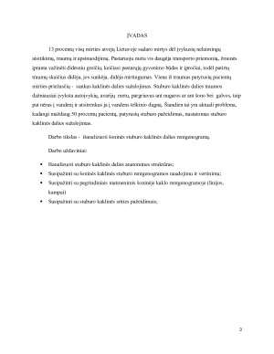 Stuburo kaklinės dalies šoninė rentgenograma. Paveikslėlis 3