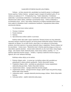 Stuburo kaklinės dalies šoninė rentgenograma. Paveikslėlis 4