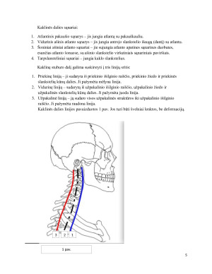 Stuburo kaklinės dalies šoninė rentgenograma. Paveikslėlis 5