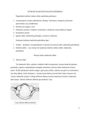 Stuburo kaklinės dalies šoninė rentgenograma. Paveikslėlis 9