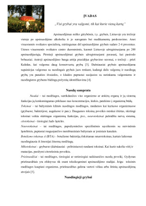 Grybai. Paveikslėlis 1