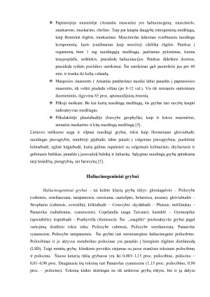 Grybai. Paveikslėlis 3