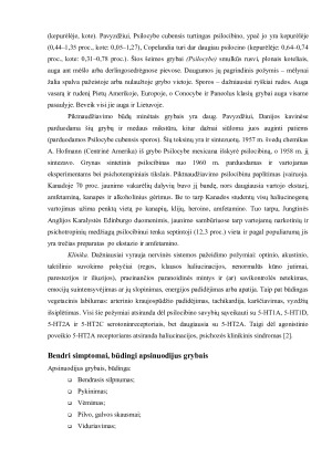 Grybai. Paveikslėlis 4