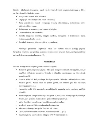 Grybai. Paveikslėlis 6