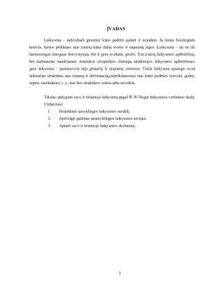 LAIKYSENOS VERTINIMAS (2). Paveikslėlis 3