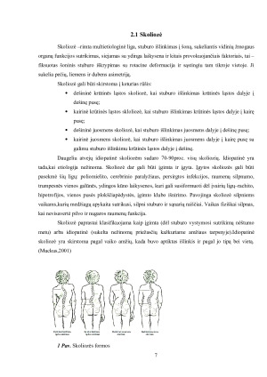 LAIKYSENOS VERTINIMAS (2). Paveikslėlis 7