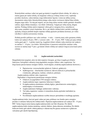 Ikimokyklinio amžiaus vaikų mitybos ypatumai ir sveikos mitybos principai. Paveikslėlis 8