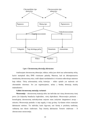 Chromosomų mutacijos. Paveikslėlis 10