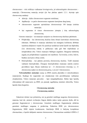 Chromosomų mutacijos. Paveikslėlis 5