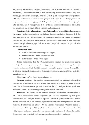 Chromosomų mutacijos. Paveikslėlis 6
