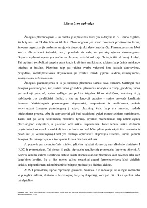 Molekulinis klonavimas, ekspresija, gryninimas ir charakterizacija sutrumpintų žmogaus plazminogeno formų panaudojant Pichia pastoris mielių ekspresijos sistemą. Paveikslėlis 3