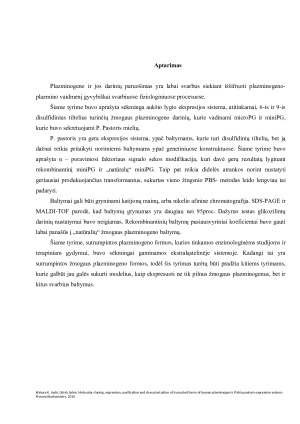 Molekulinis klonavimas, ekspresija, gryninimas ir charakterizacija sutrumpintų žmogaus plazminogeno formų panaudojant Pichia pastoris mielių ekspresijos sistemą. Paveikslėlis 7